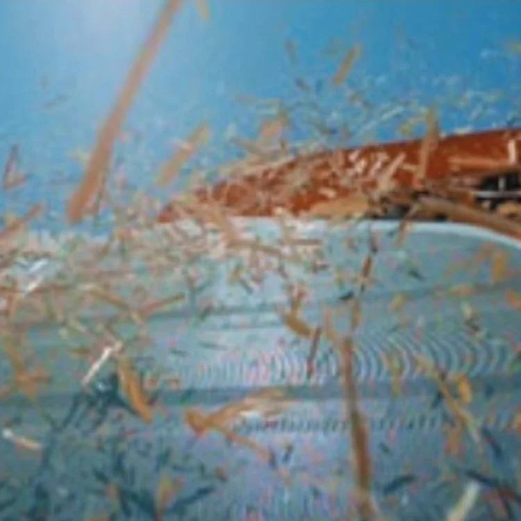 KubotaPRO1008Q Used Silage Corn Combine Harvester Machine Kubota Corn Combine Harvester Machine from China