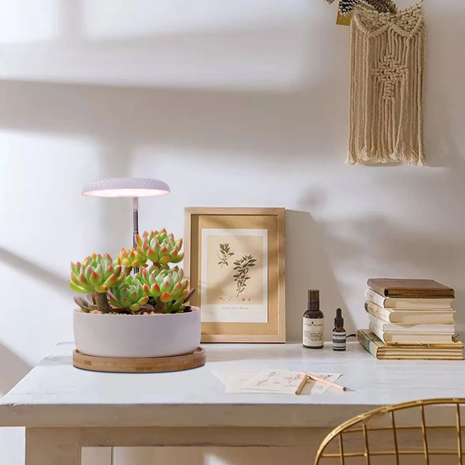 J&C Mini Garden Indoor plants mini Indoor grow lights led spectrum indoor garden