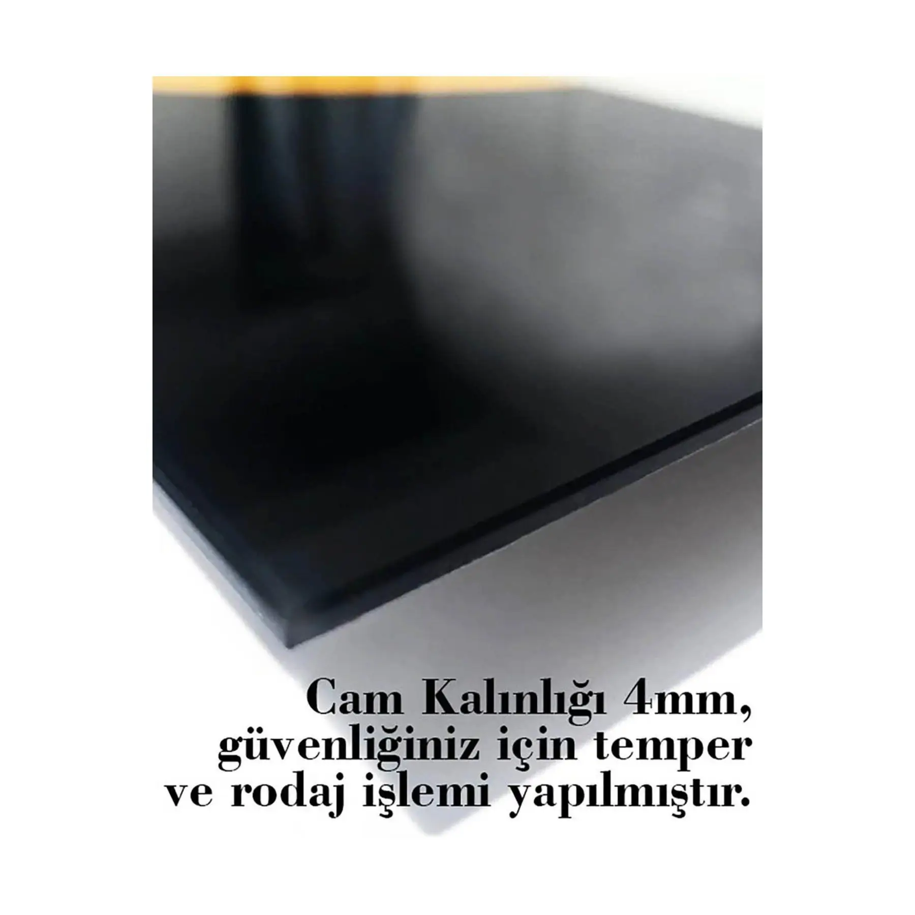 Картина из стекла для кошек и собак