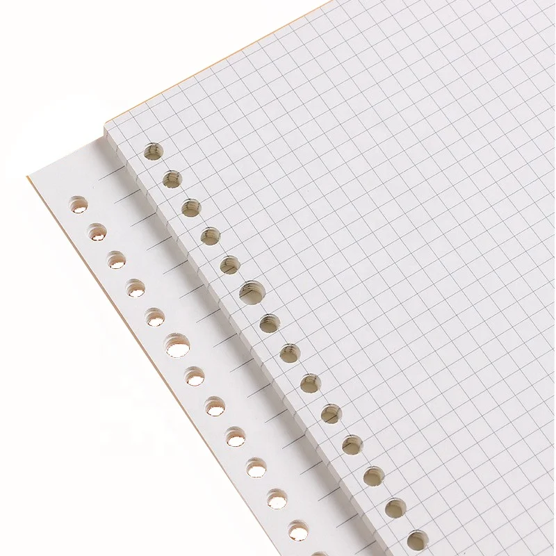 Loose-leaf Style Filler Paper Set Writing Materials A4 60 Sheets For Office and School Use Daily Planner 2022