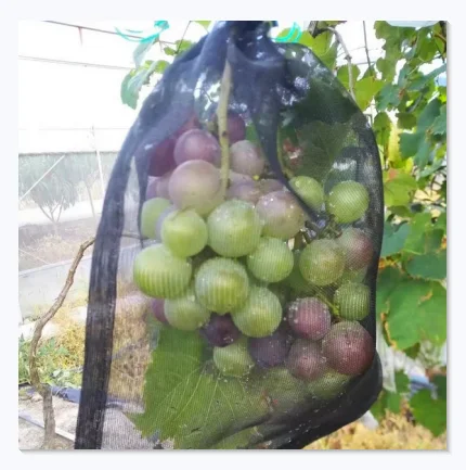 Grape Mesh Bag Nylon Mesh Anti Bird Protection Reusable Anti Insect Net Bag