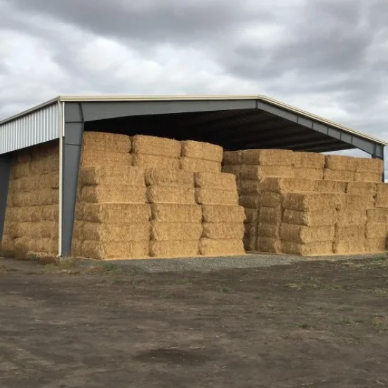 Processing Prefabricated Steel Structure Hay shed Barn Insulated Dog Kennel Shed Farm Warehouse shed construction