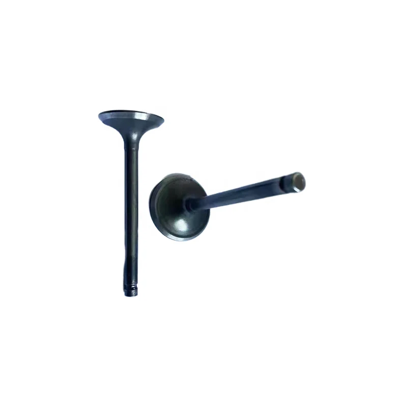 Manufacturers Directly Provide Engine Parts Motorcycle Engine Valve FOR CBF150 GL150 125