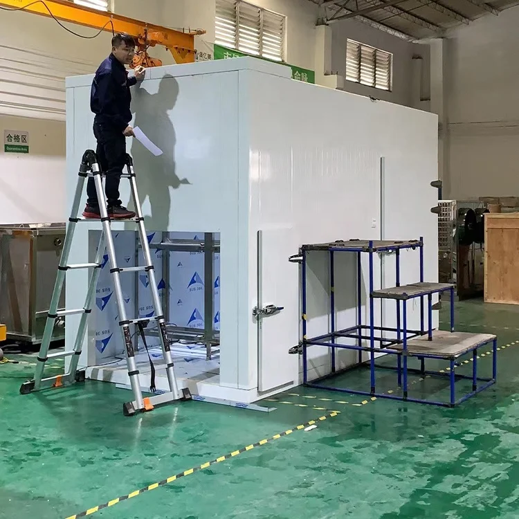 Drying Dry Room Commercial Coconut Sausage Cacao Avocado Grape Meat Electric Drying Chamber Fish Oven Machine For