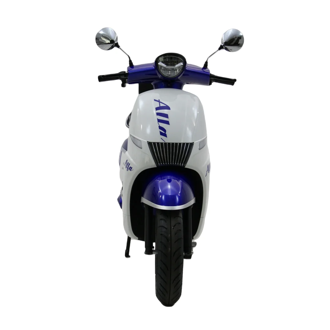 Best-selling two-wheeled two-seat mopeds 1500W 10 inch electric motorcycles