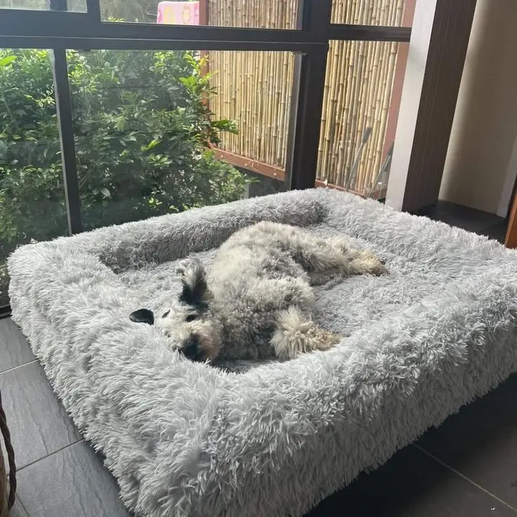 High Quality Orthopedic Pet Bed Winter Velvet Nest Cooling Feature Memory Foam Square Boucle Cover Solid Animal Dogs Cats