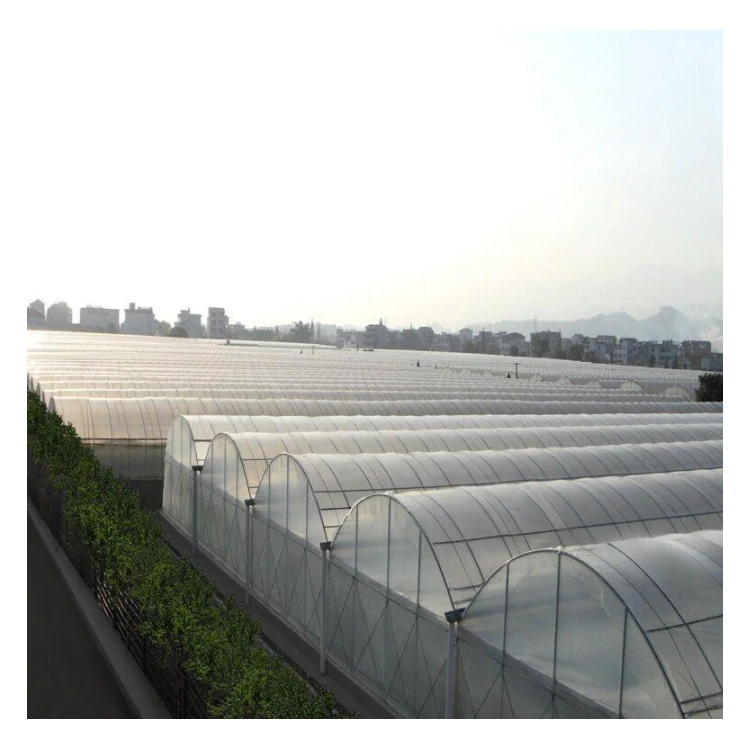 Cheap Solar Agricultural Tunnel Single-span Green house Structure Plastic Film Greenhouse With Hydroponic System