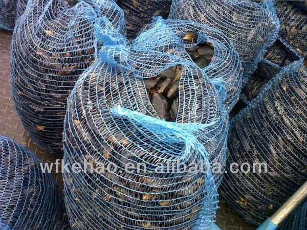 Wholesale Seafood Mesh Pouch Hdpe Fish Net Bag for Clams Mussel