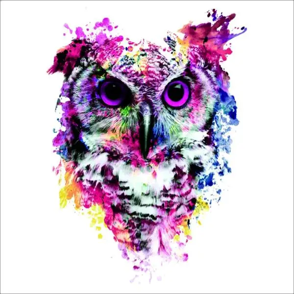 Cunzhen Pd-7595 Customizable Magic Style Gift Bedroom Painting Diamond Painted Owl