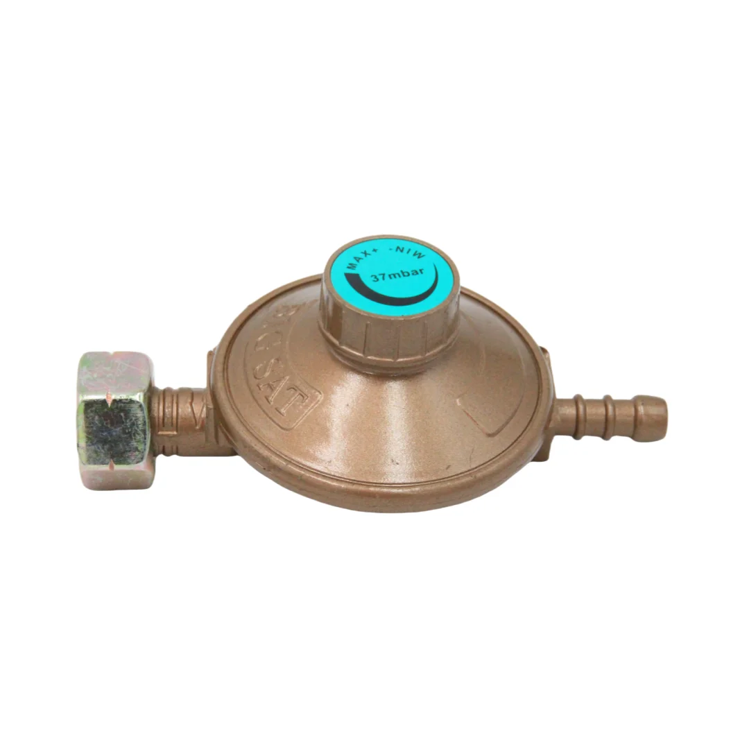 Professional manufacture of high quality pressure regulating valve LPG pressure reducing valve