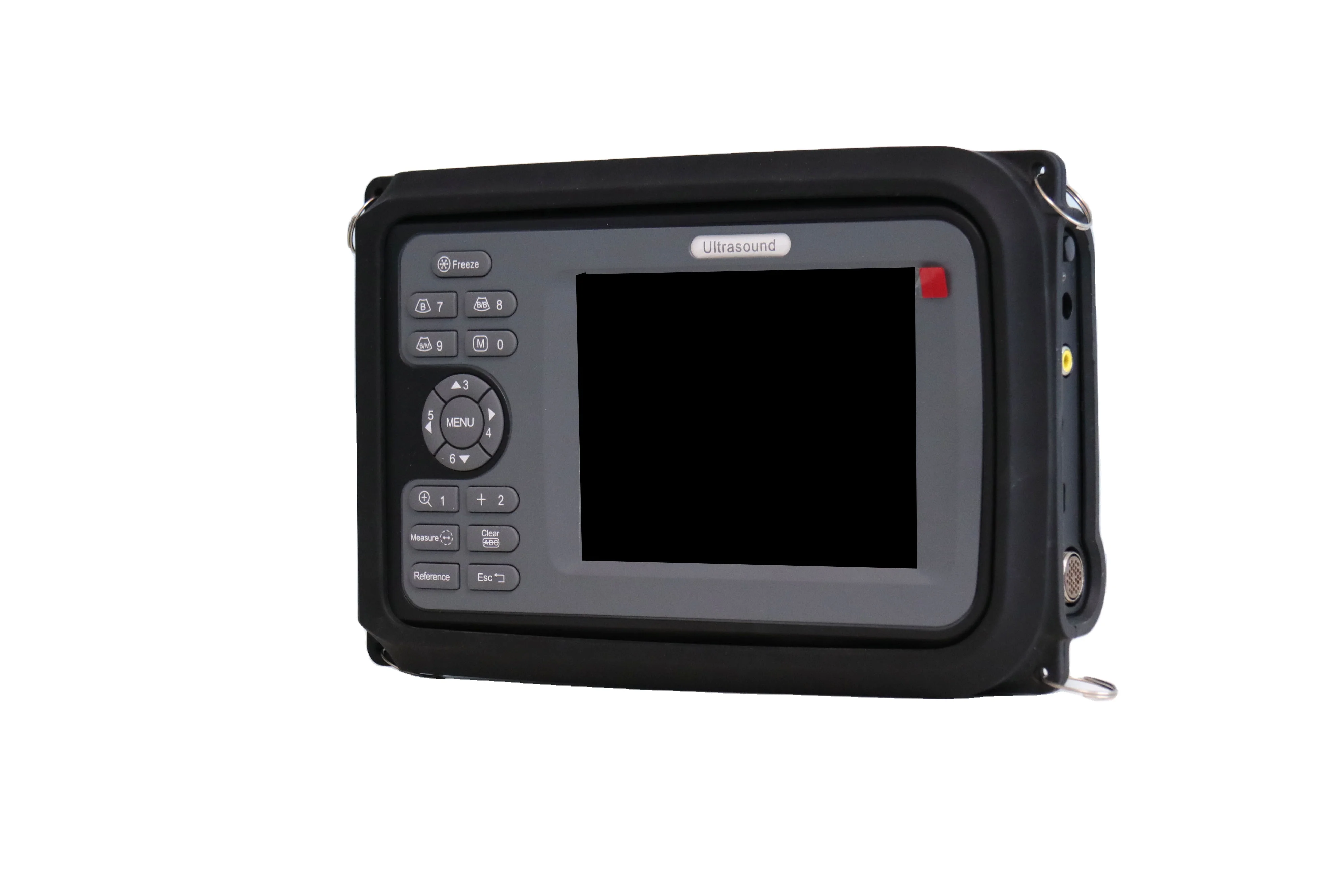 Medical Full Digital Laptop Veterinary Ultrasound Scanner A Sheep Horse Pig Farm Rectal Ultrasound