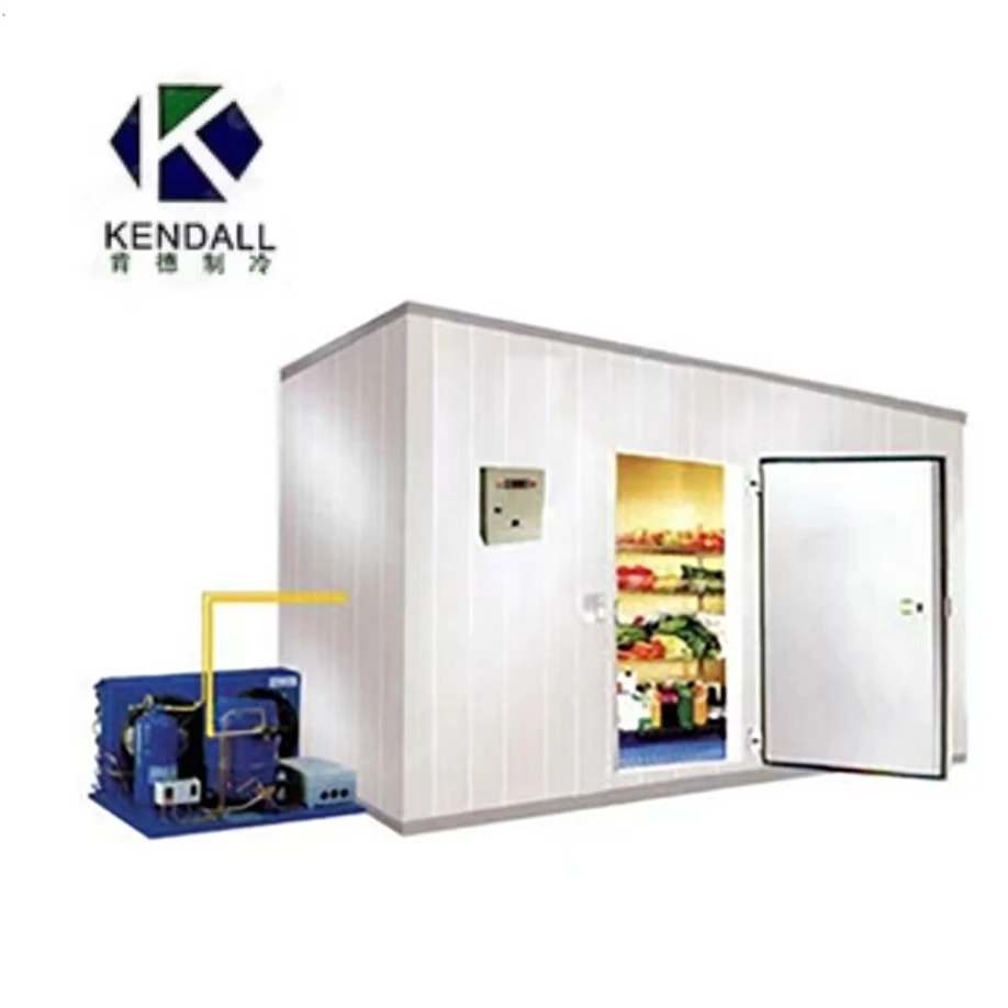 Hot Selling Low Temperature Modular Cooler Blast Freezer Room for Cucumber Tomato or Other Vegetables