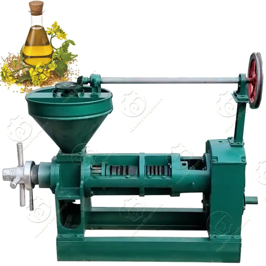 6YL-80 100kg/h Small soybean peanut oil extractor Sunflower seeds oil press machine