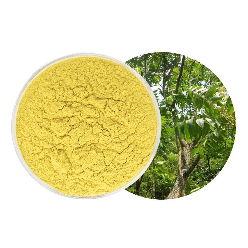 Anti-Cancer Spermidine Wheat Germ Dietary Supplements fisetin 98% raw material Fisetin Powder fisetin