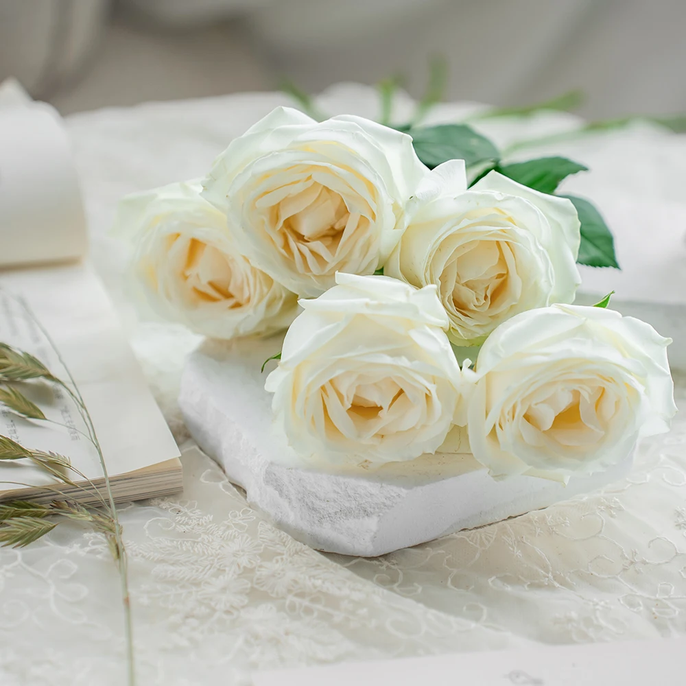 Rose  White  High Quality Natural Wholesale Fresh Cut Flower