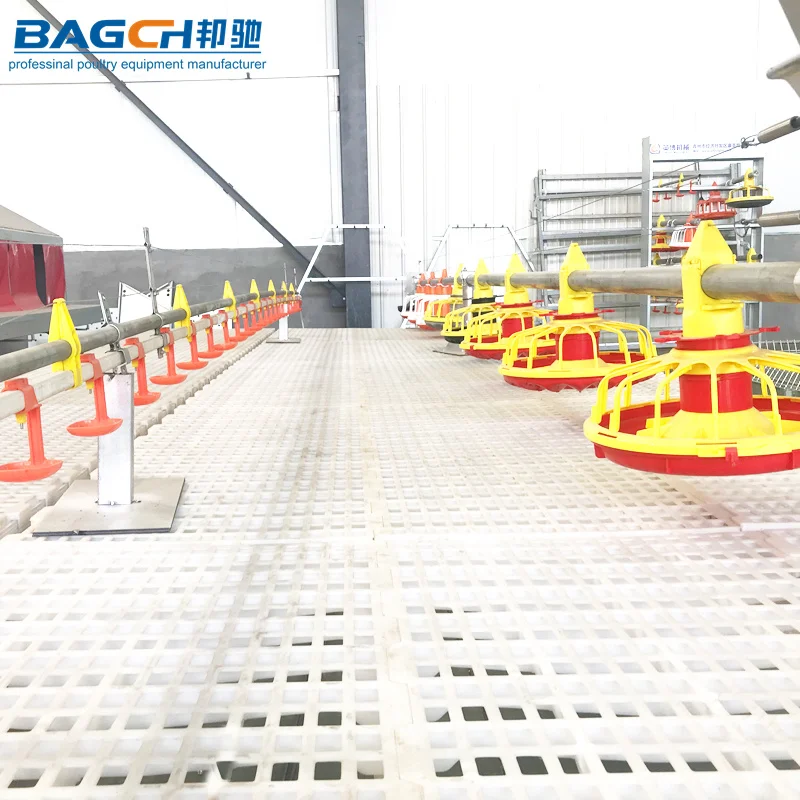 Broiler Poultry Farming Equipment H type Ground Automatic Broiler Chicken Farming Equipment