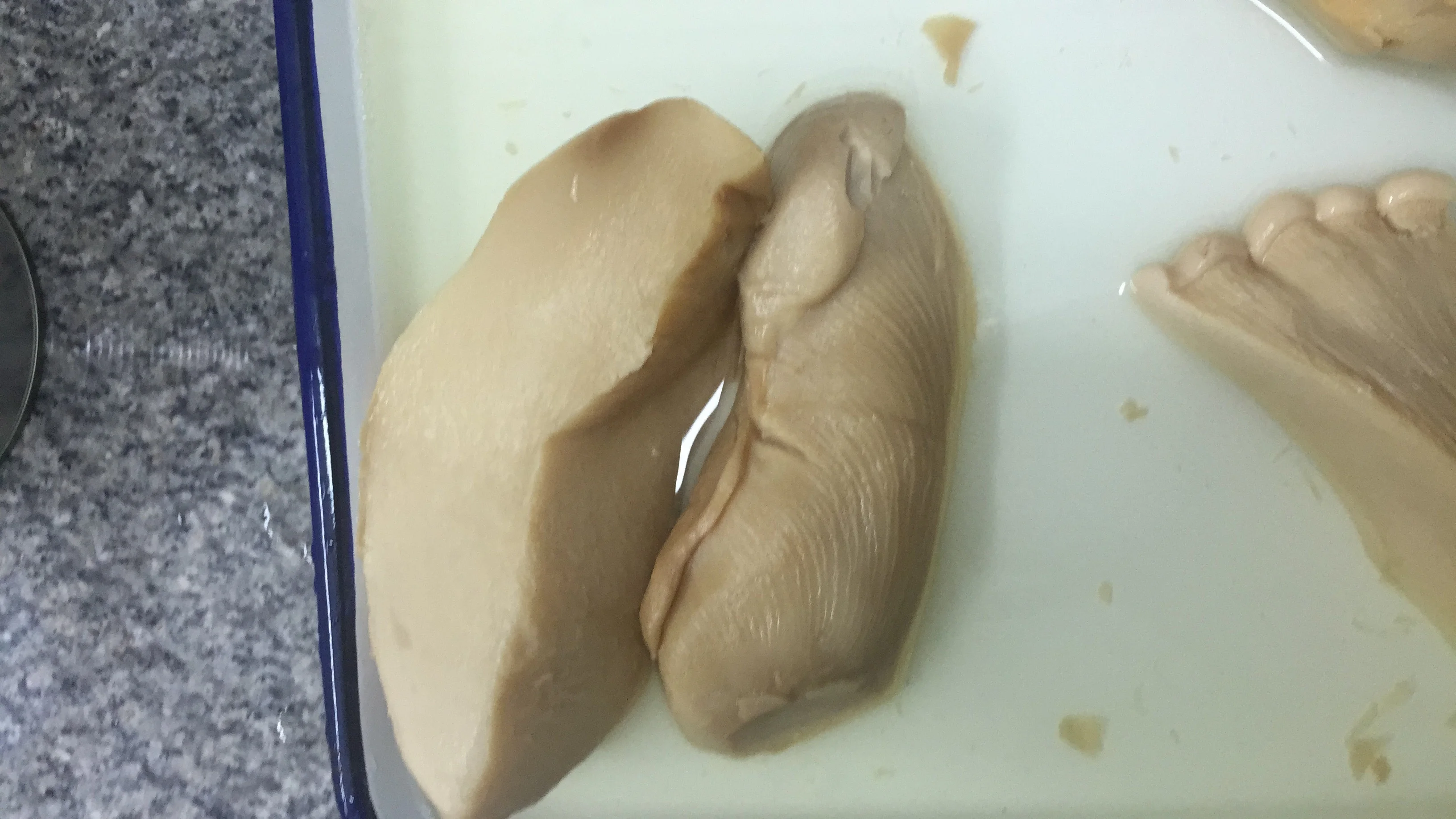 canned bailing mushroom