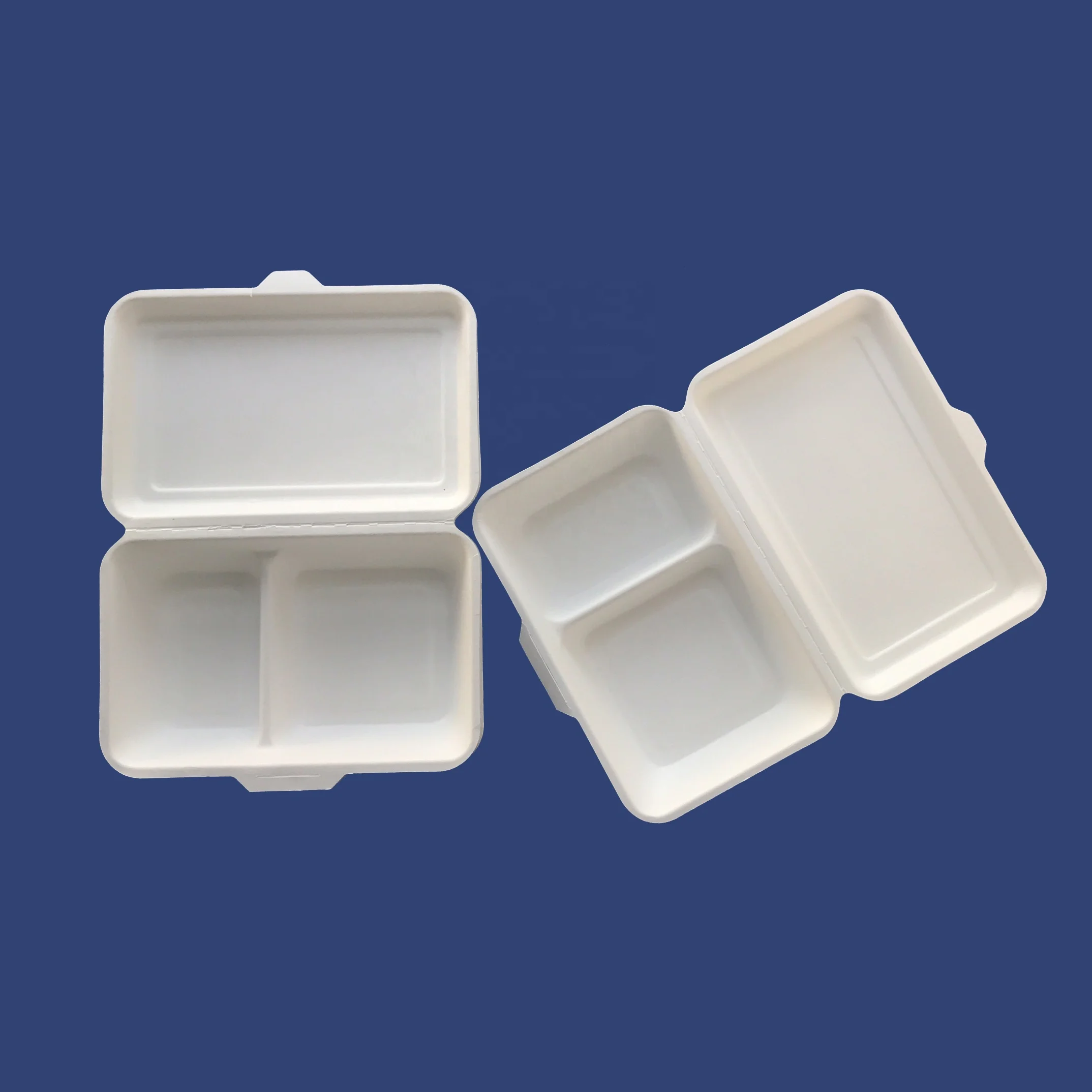 2 compartment disposable food container biodegradable box