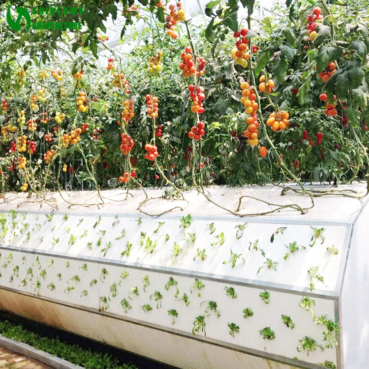 
High Quality Hot Selling Commercial Aeroponics Hydroponic system for greenhouse 