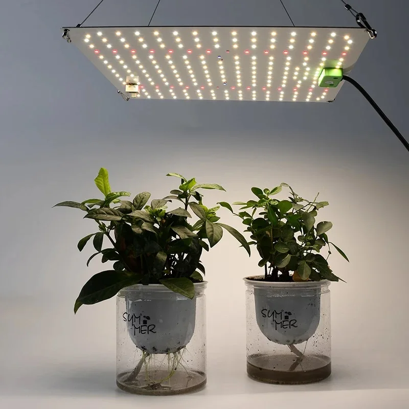 LED Grow Light with Quantum Spectrum Phyto Lamp for Indoor Plants Flowers Greenhouse Seedlings flood light