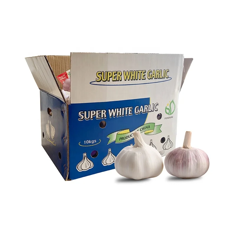 China wholesale elephant ajo garlic price fresh pure white garlic exporters European standard