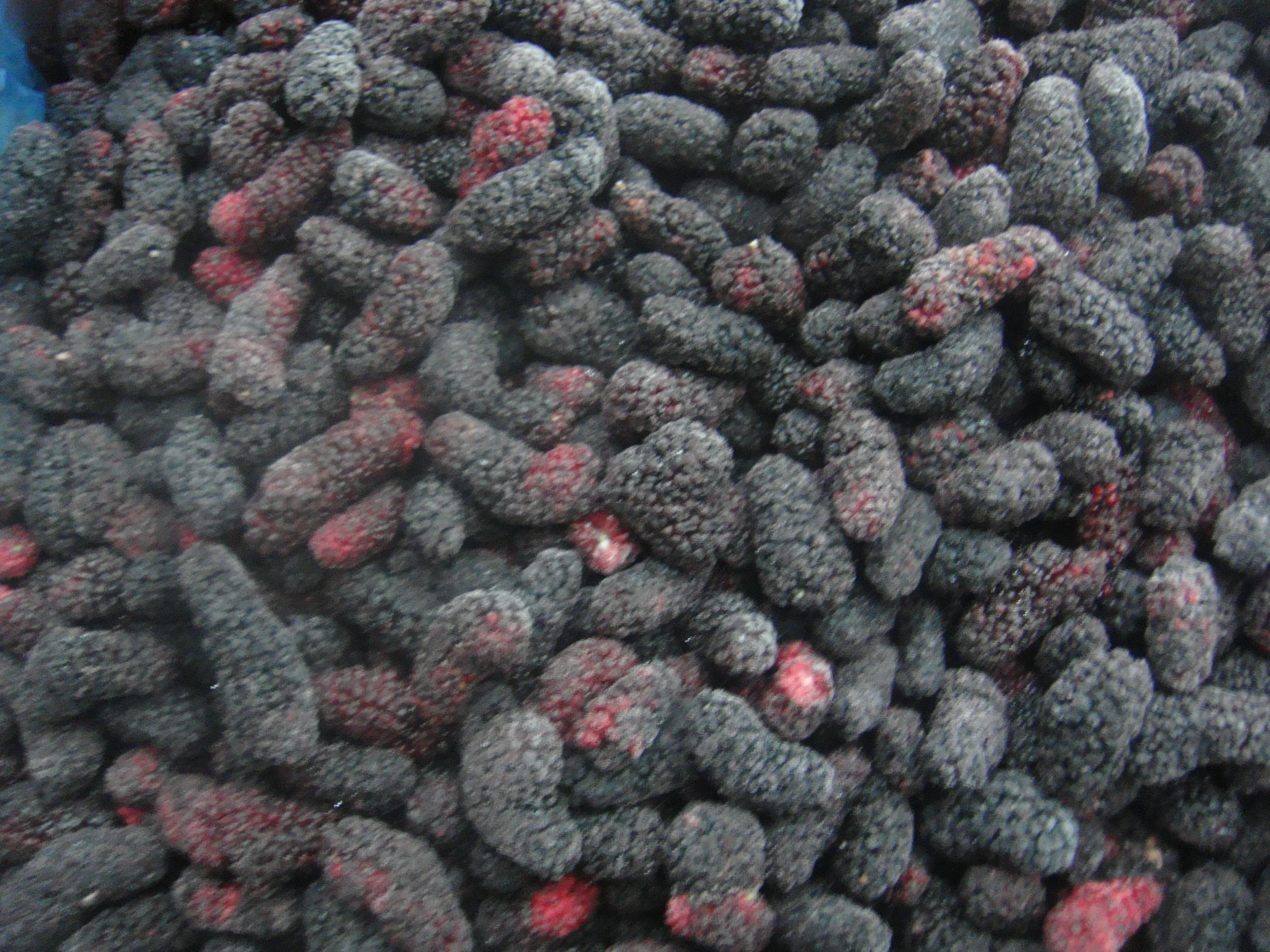 Hot Selling Frozen Fruits Frozen Mulberries IQF Mulberries Frozen Black Mulberry