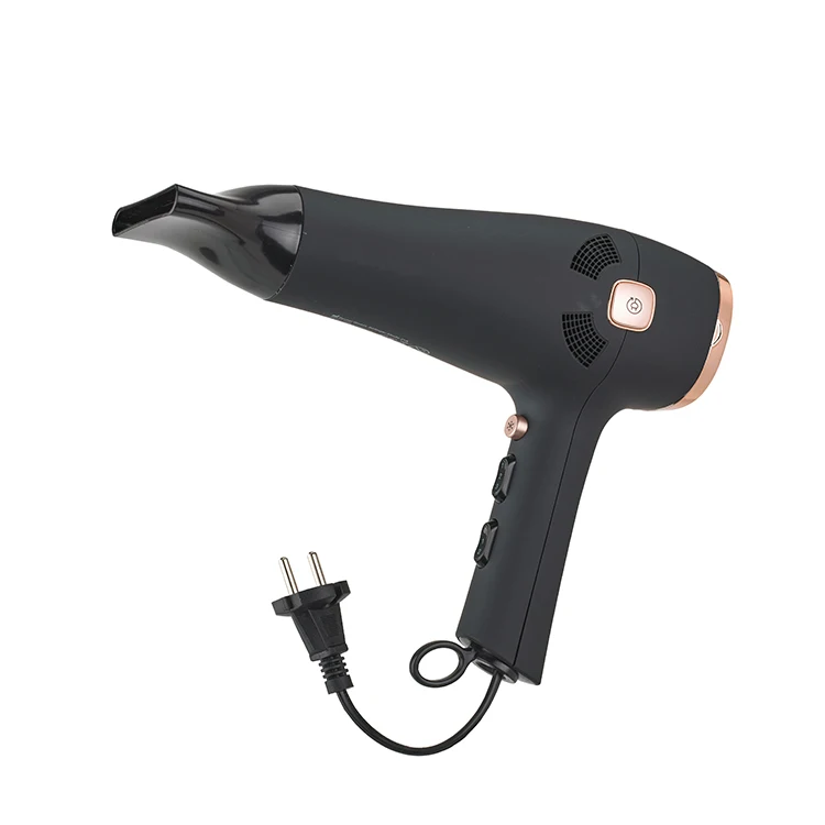 flight hair dryer.jpg