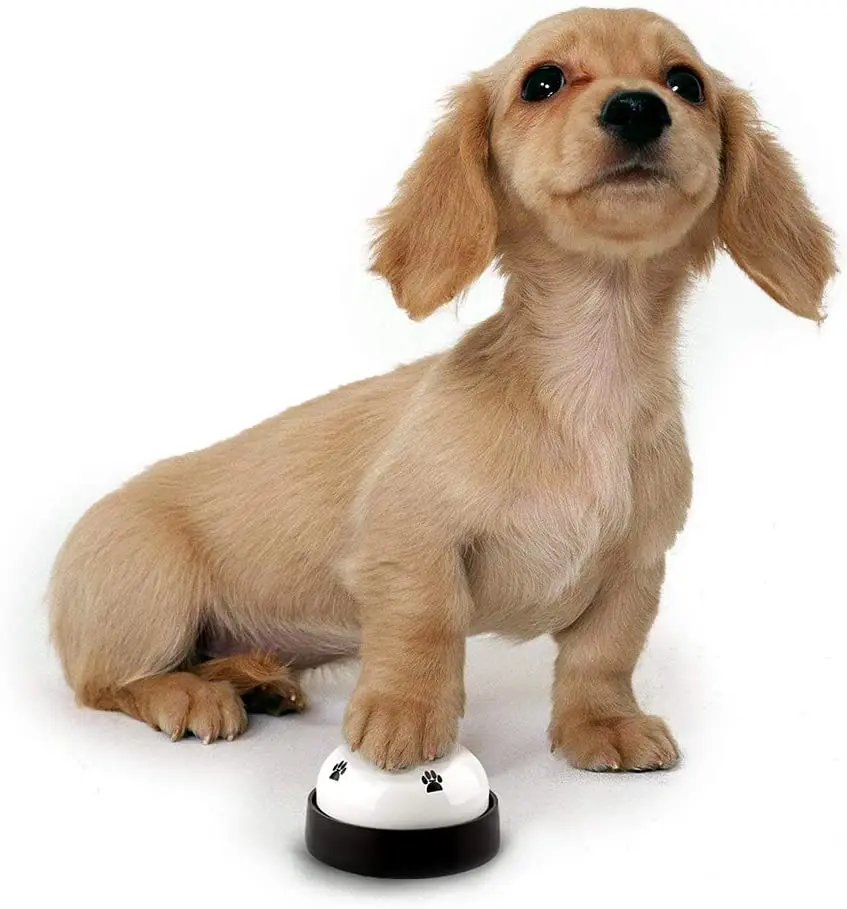 
Potty Toilet Training Eating Communication Paw Bells Custom Dog Cat Pet Training Bell 