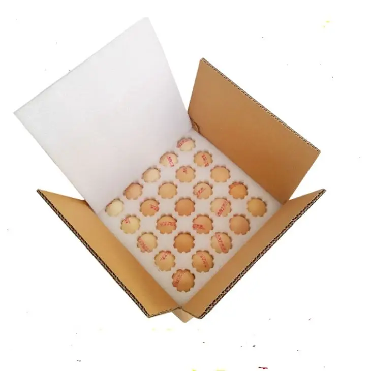 Light Shockproof 10 /20 Holes EPE Foam Protective Quail Egg Tray