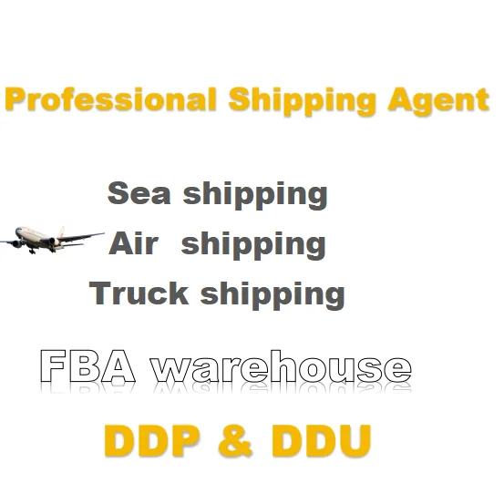 International Cheap 20ft 40ft lcl fcl Ocean Sea Container Freight Forwarder From China