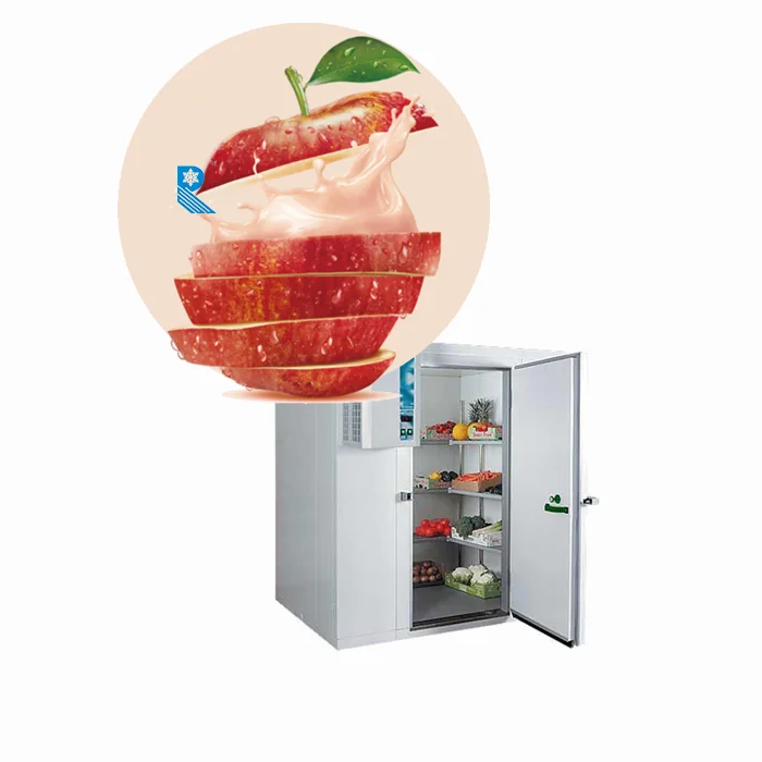 Chicken freezer storage room, cold room data logger, cold freezer room for meat and poultry