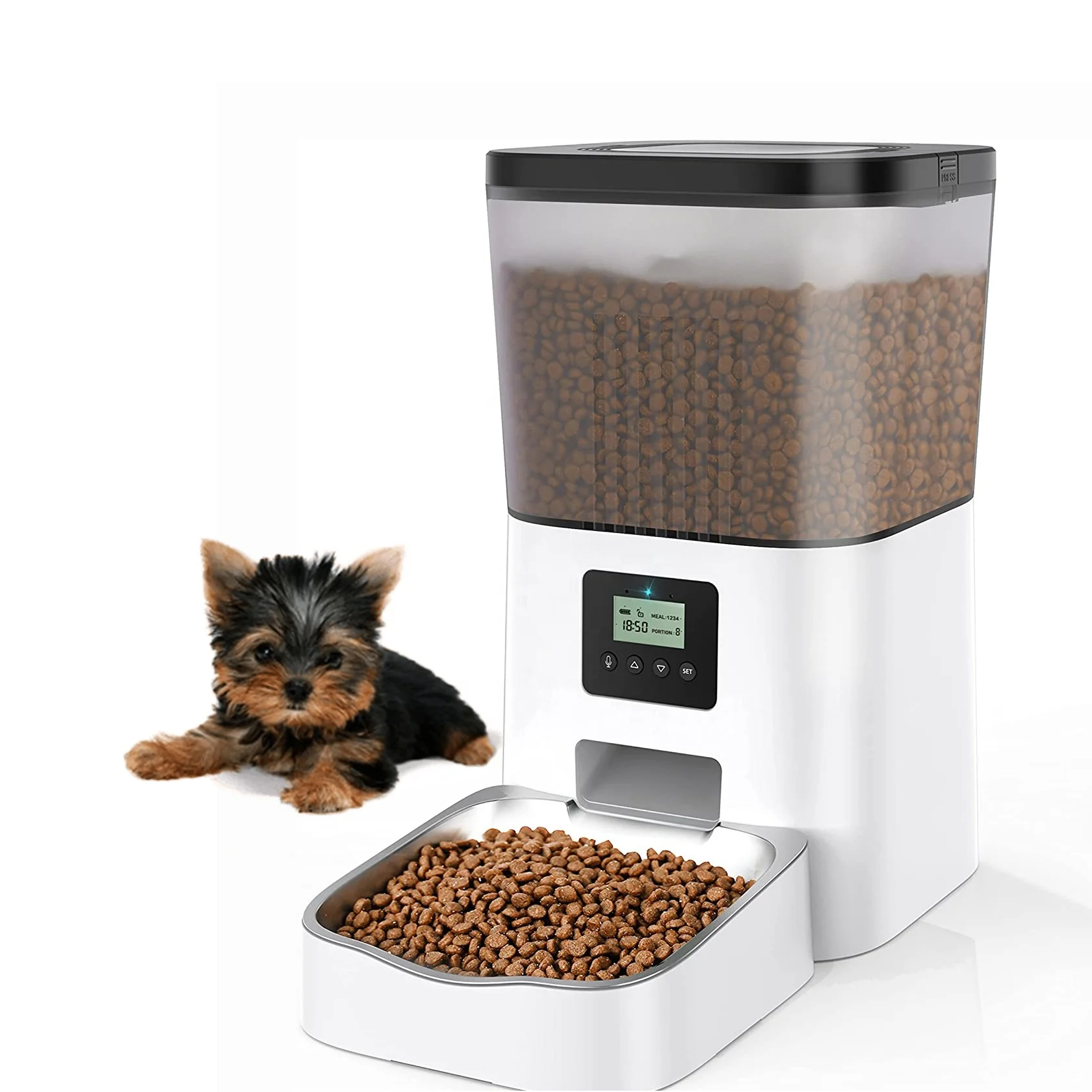 Good Quality Pet Product Supplier Automatic Pet Feeders Personalized Meal Call 10s Voice Recorder Automatic Cat Feeders