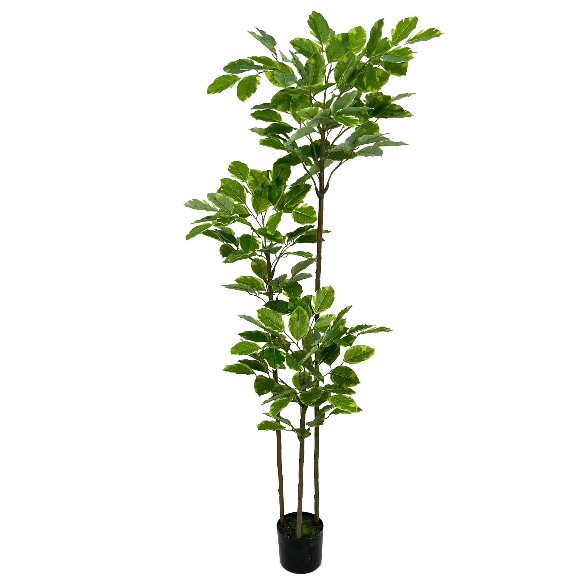 Premium Artificial Plants for Garden Home Ornaments Evergreen Outdoor Ficus Altissima For Sale -149