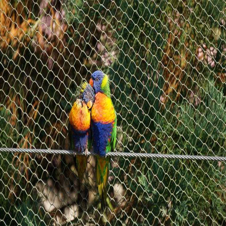 Воздушная проволочная сетка Macaw/сетчатые панели для птичьих птиц/сетка вольера из нержавеющей