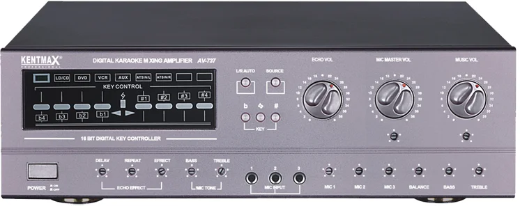 Malaysia Market Promotional Discount Karaoke 200W  Power Amplifier with audio sound speaker