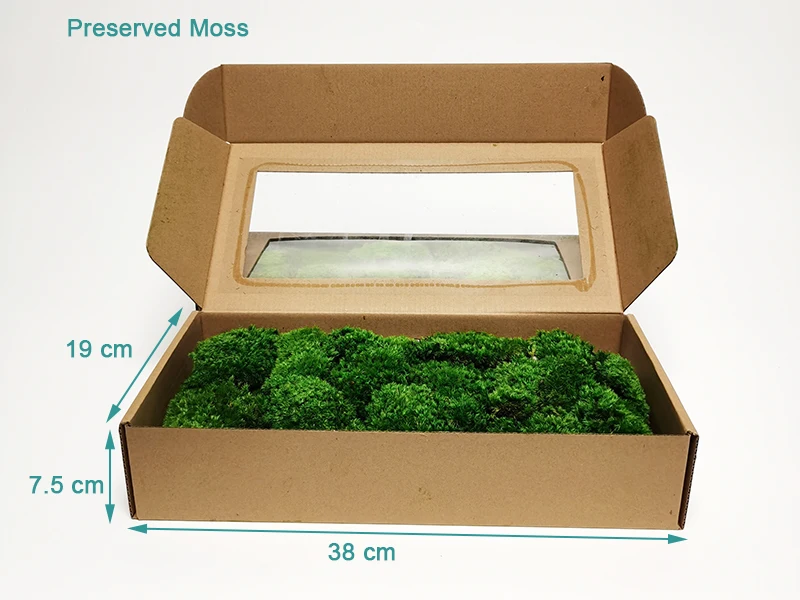 environmental decorative plant 3D Bun Lichen Moss preserved sheet stabilized Preserved Pole Moss for home wall interior decor