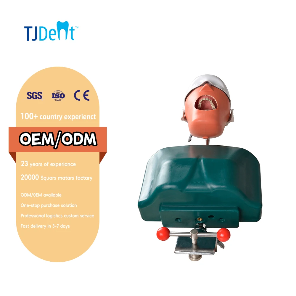 phantom head simulator dental magnetic jaw surgical dental simulator dental simulation unit