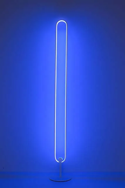  Современная напольная лампа CHUSE RGB с дистанционным управлением эллиптическое кольцо светодиодная подставка угловой светильник домашний декор индивидуальная для