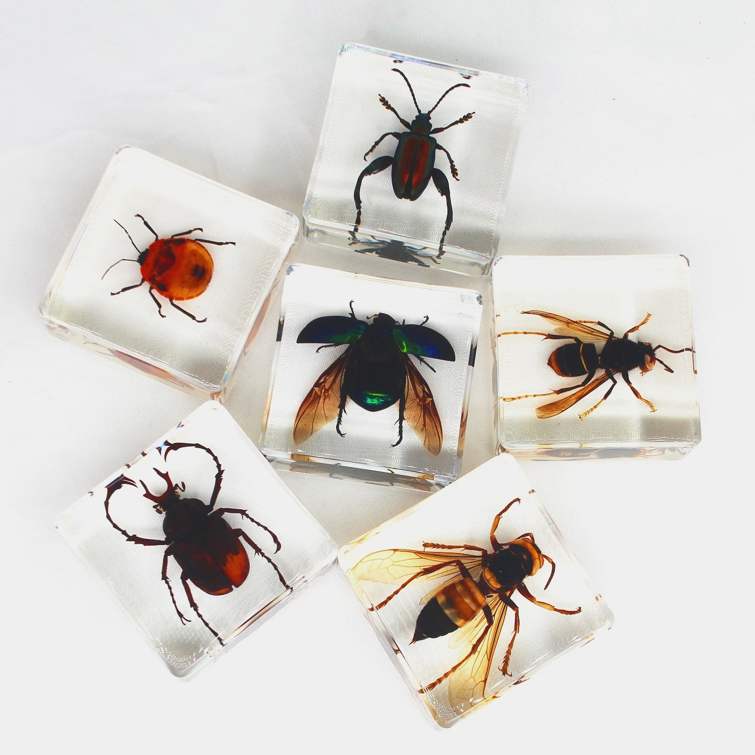 Хранение красоты природы, «насекомые в смоле», подарок на день рождения, образцы настоящих насекомых