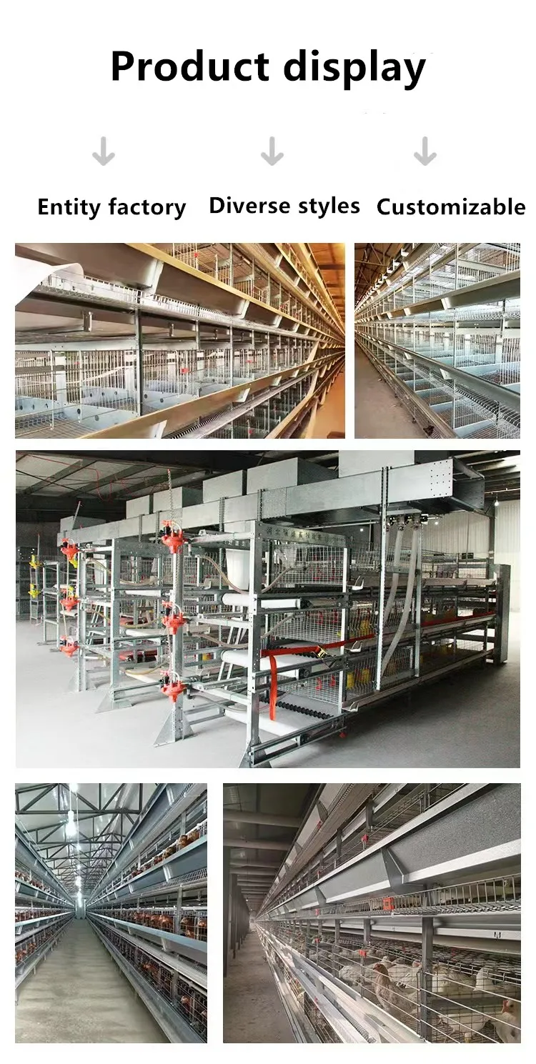 webwxgetmsgimg (4).jpg