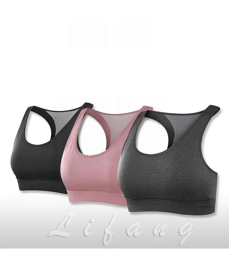 Custom Women Plush Size Seamless Adjustable Sports Bra Ladies Hot Sexy Gym Yoga Bra Top