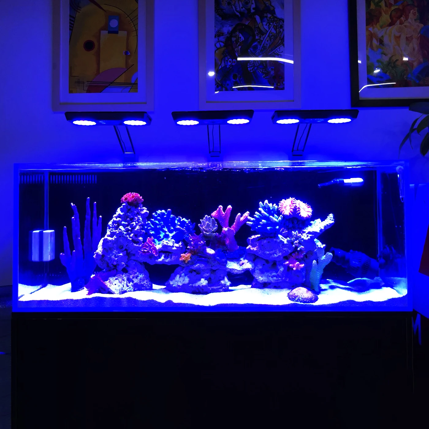 Fashion-Designed Thor X 120W APP Control Reef Corals  Aquarium Lighting with Adjustable Bracket for Standard Marine Aquarium