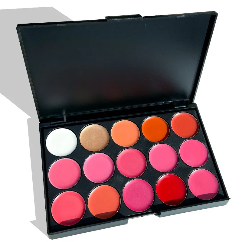 Perfect for Professional and Daily Use Makeup Palette Cosmetic Contouring Kit 15 Color Cream Lip Gloss