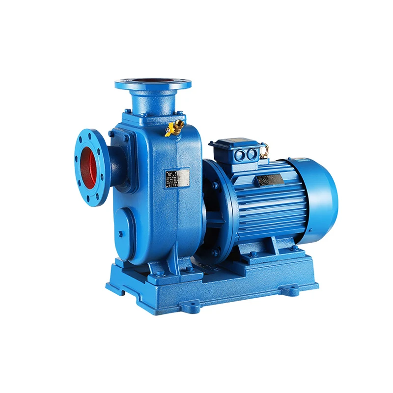 50ZW10-20-2.2 Pompa Lumpur 3 HP Electric 2.2 Kw Motor Self-Priming Horizontal Sewage Water Pump