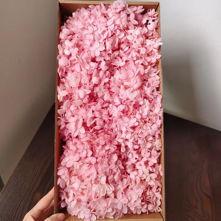 Fresh and Preserved Woody Hydrangea Box for Christmas Decorations DIY Flowers with Glue Accessories and Roses