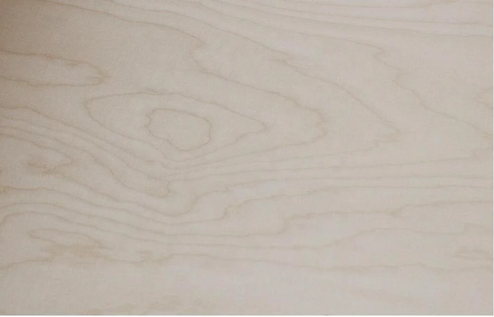 24mm 19mm thick B/BB russian Birch Plywood