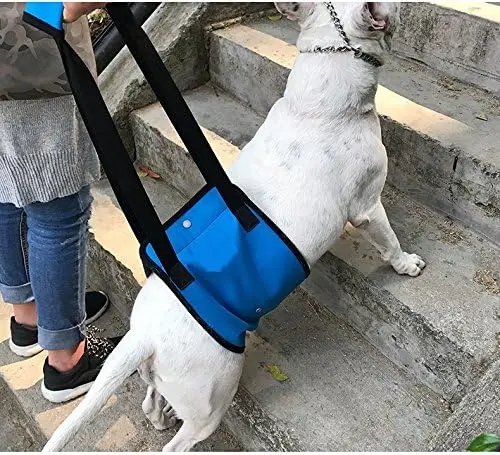 Dog Sling for body and Rear lifting harness Dogs Hind Leg Support belt Dog Lifting Harness for Rear Legs