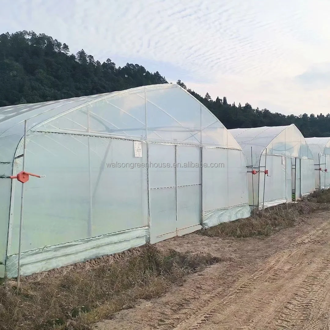 Economic tunnel tomato greenhouse with shading net film green house
