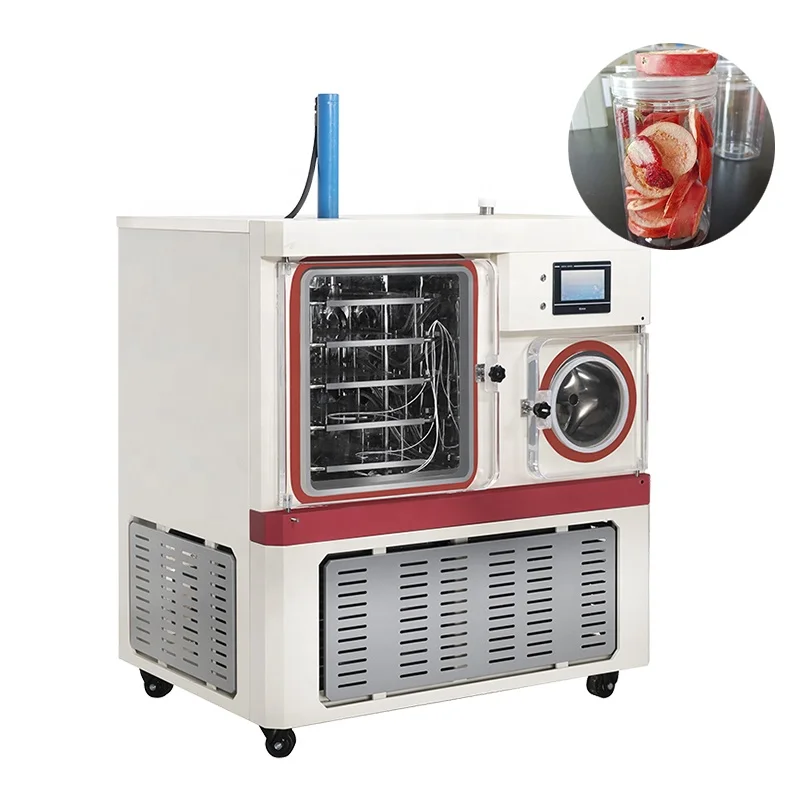 high quality food and fruit lyophilizer freeze dryer lyophilization machine