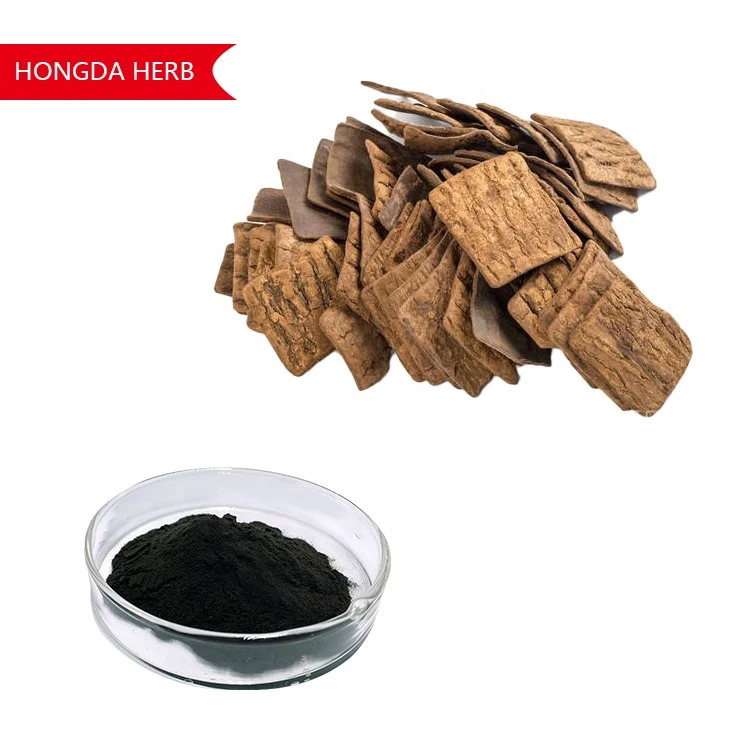 Hongda 98% Eucommia Ulmoides Extract Chlorogenic Acid Cosmetic Use